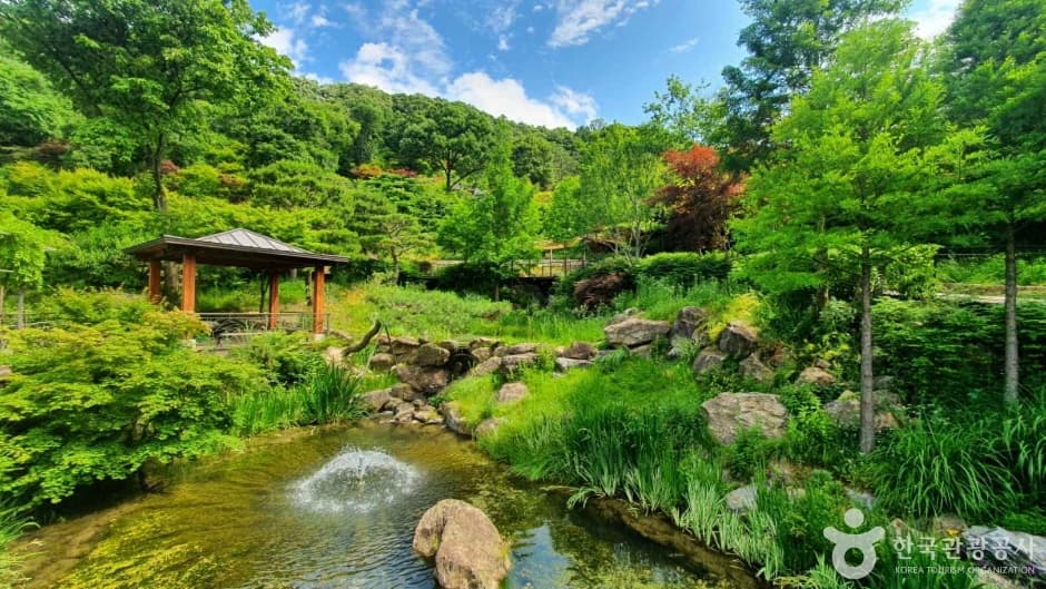 곤지암 화담숲 사진