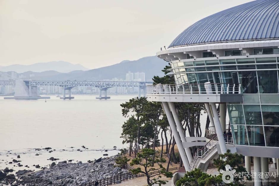 부산 해운대 동백섬 사진