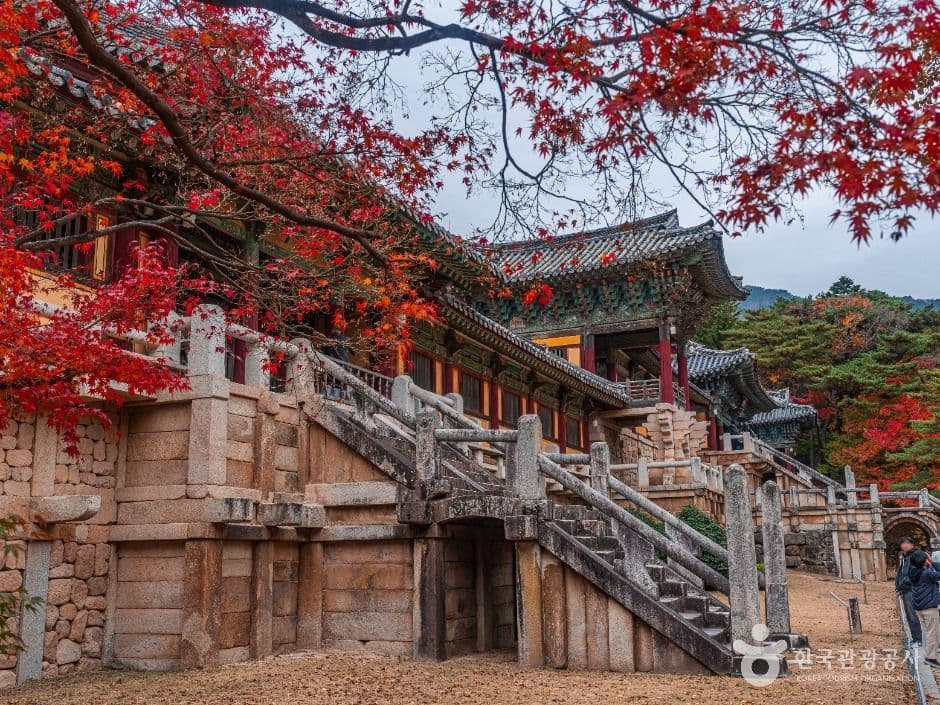 경주 불국사 사진