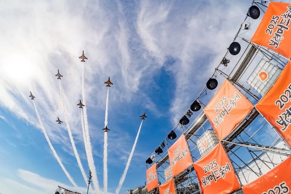 제29회 보령머드축제 행사 이미지