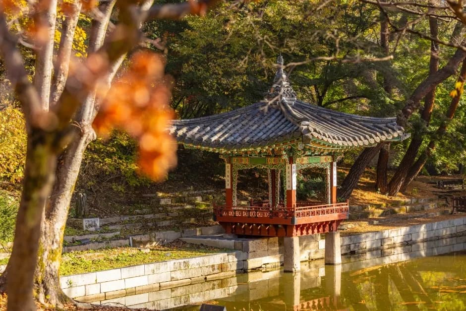 창덕궁 사진