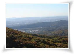 광교산 숲길 풍경
