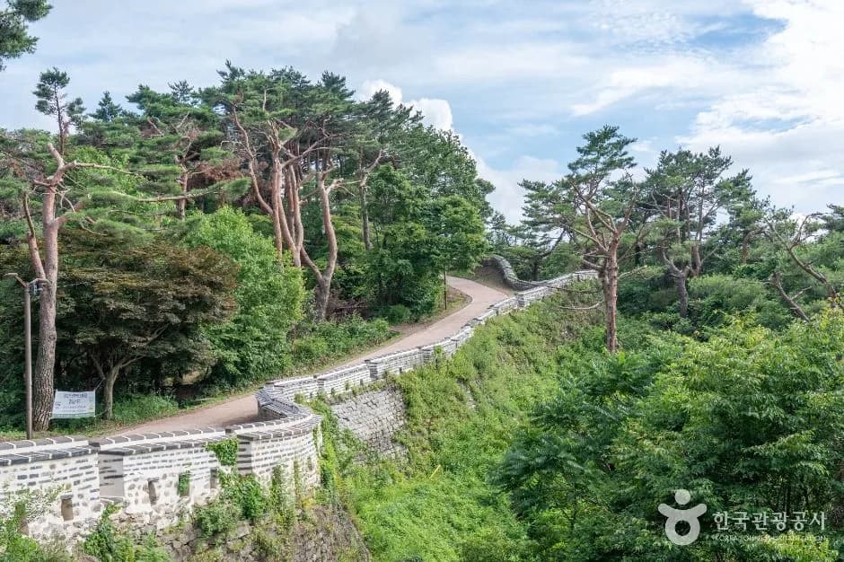 남한산성 성곽과 가을 숲