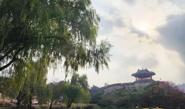 박가삼거리부대찌개 대표 메뉴와 매장 분위기