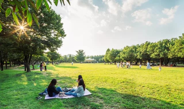 서울숲의 계절 산책로와 공원 풍경.