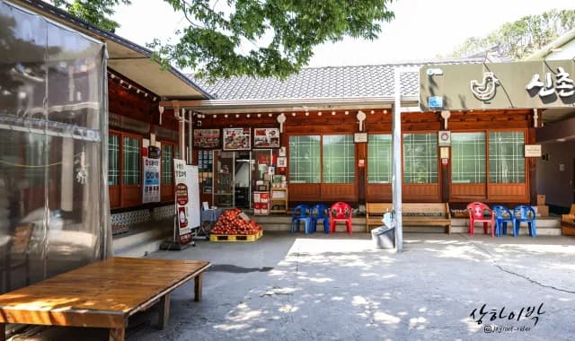 원조신촌식당 대표 메뉴와 매장 분위기
