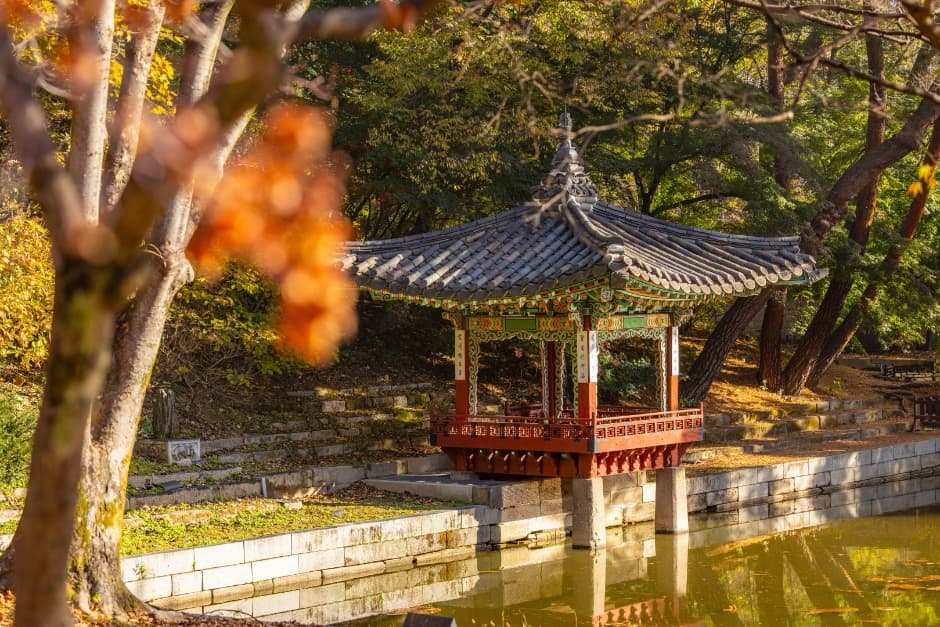 창덕궁 사진